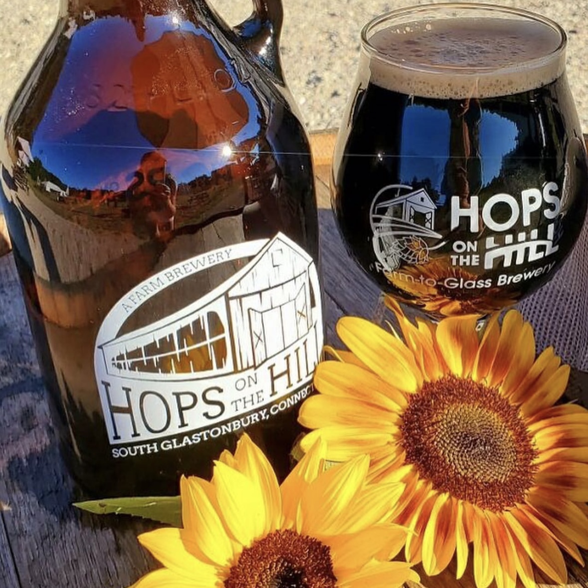 Raspberry Sour - Hops on the Hill Brewery Glastonbury, CT