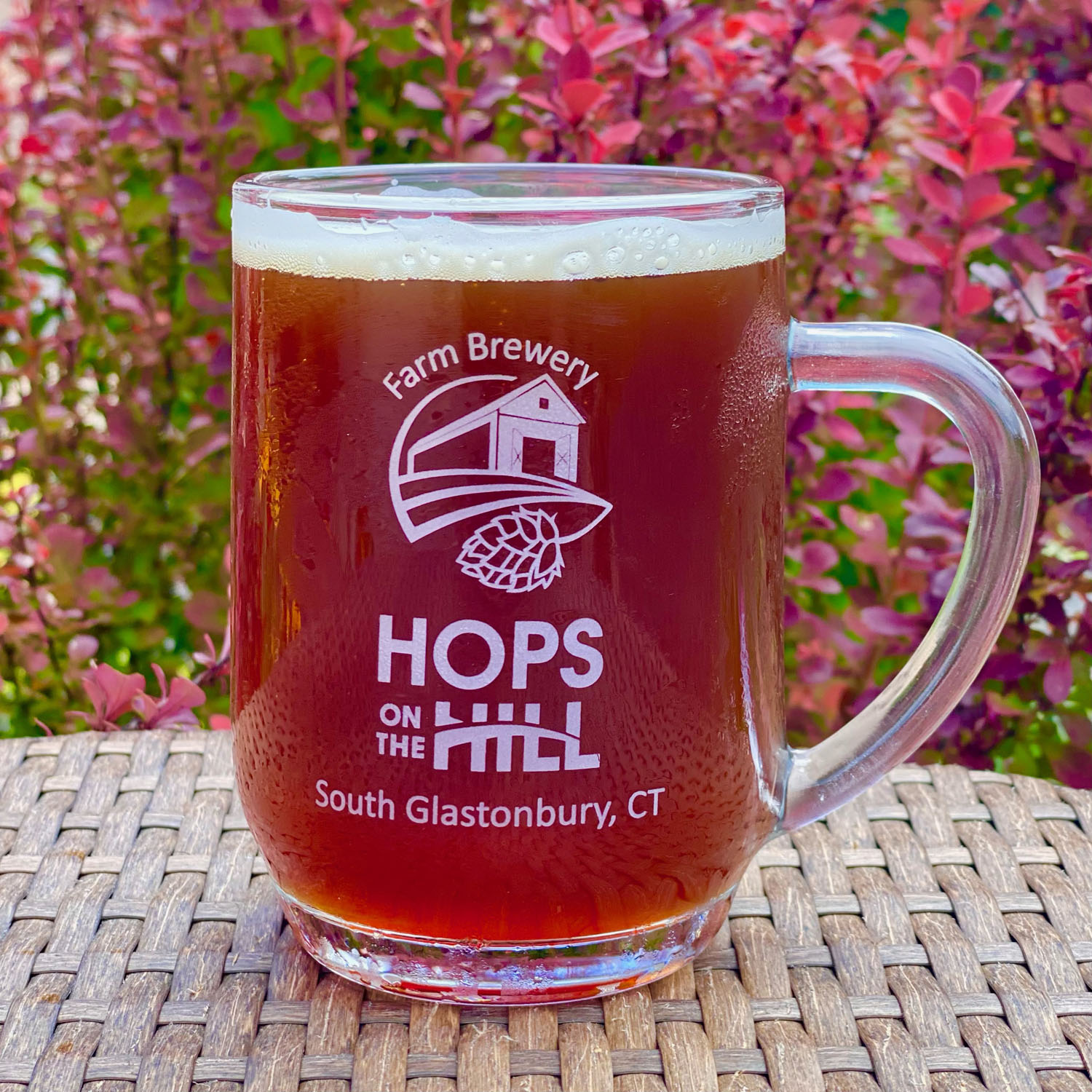 Raspberry Sour - Hops on the Hill Brewery Glastonbury, CT