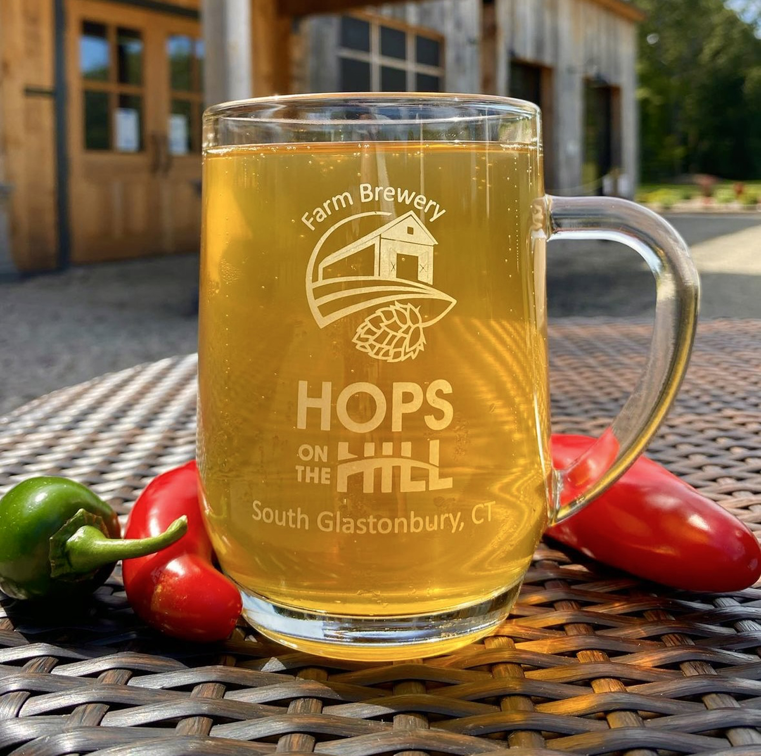 Raspberry Sour - Hops on the Hill Brewery Glastonbury, CT