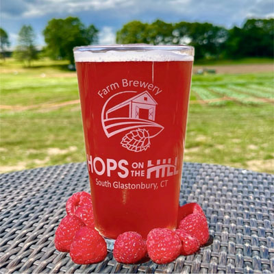 Raspberry Sour - Hops on the Hill Brewery Glastonbury, CT