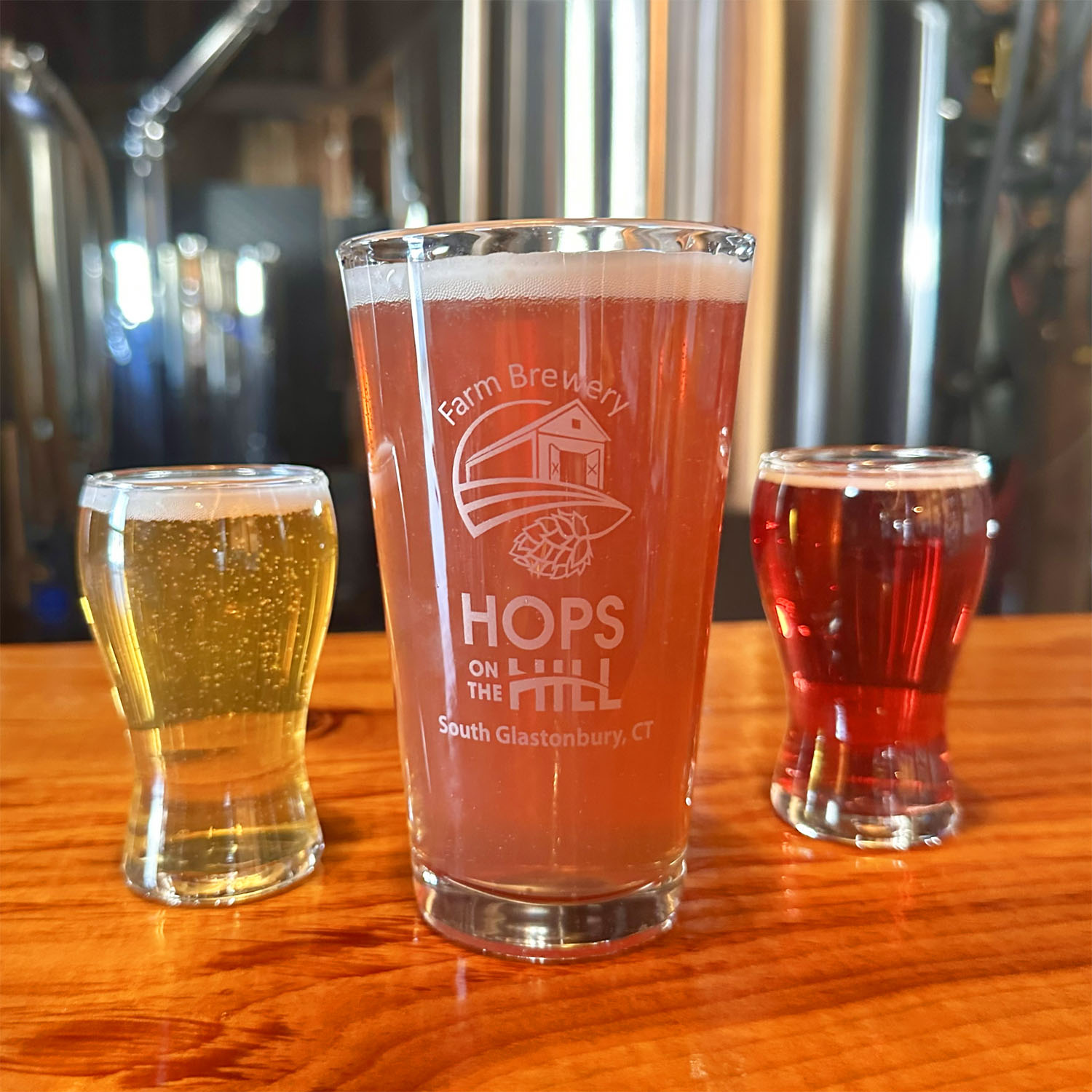 Raspberry Sour - Hops on the Hill Brewery Glastonbury, CT