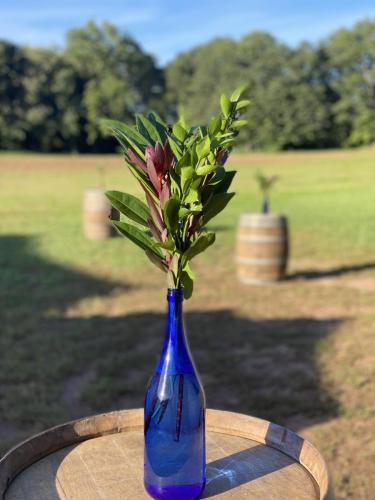 Private_Party_HOTH_3