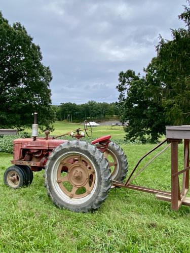 Tobacco_Harvest_10