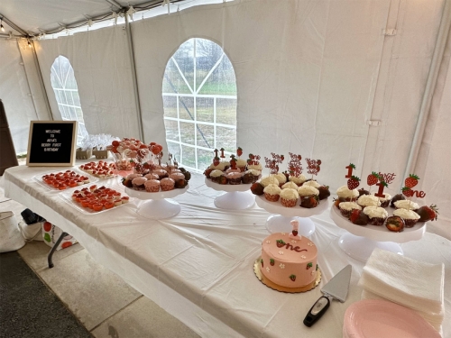 Aria's 1st Birthday Party