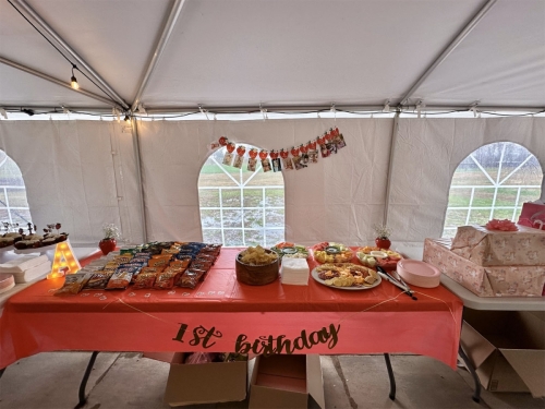 Aria's 1st Birthday Party