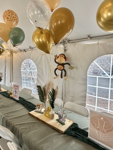 Harper's 1st Birthday Party