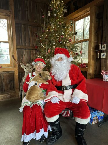 Pet Photos With Santa 2025