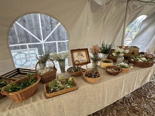 Wander Brush - Spring Wreath Workshop